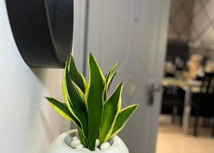 아파트 Diamond Lux