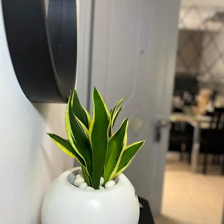Apartamento Diamond Lux